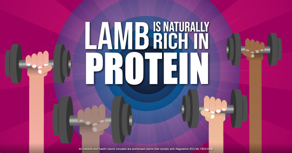 Lamb Protein