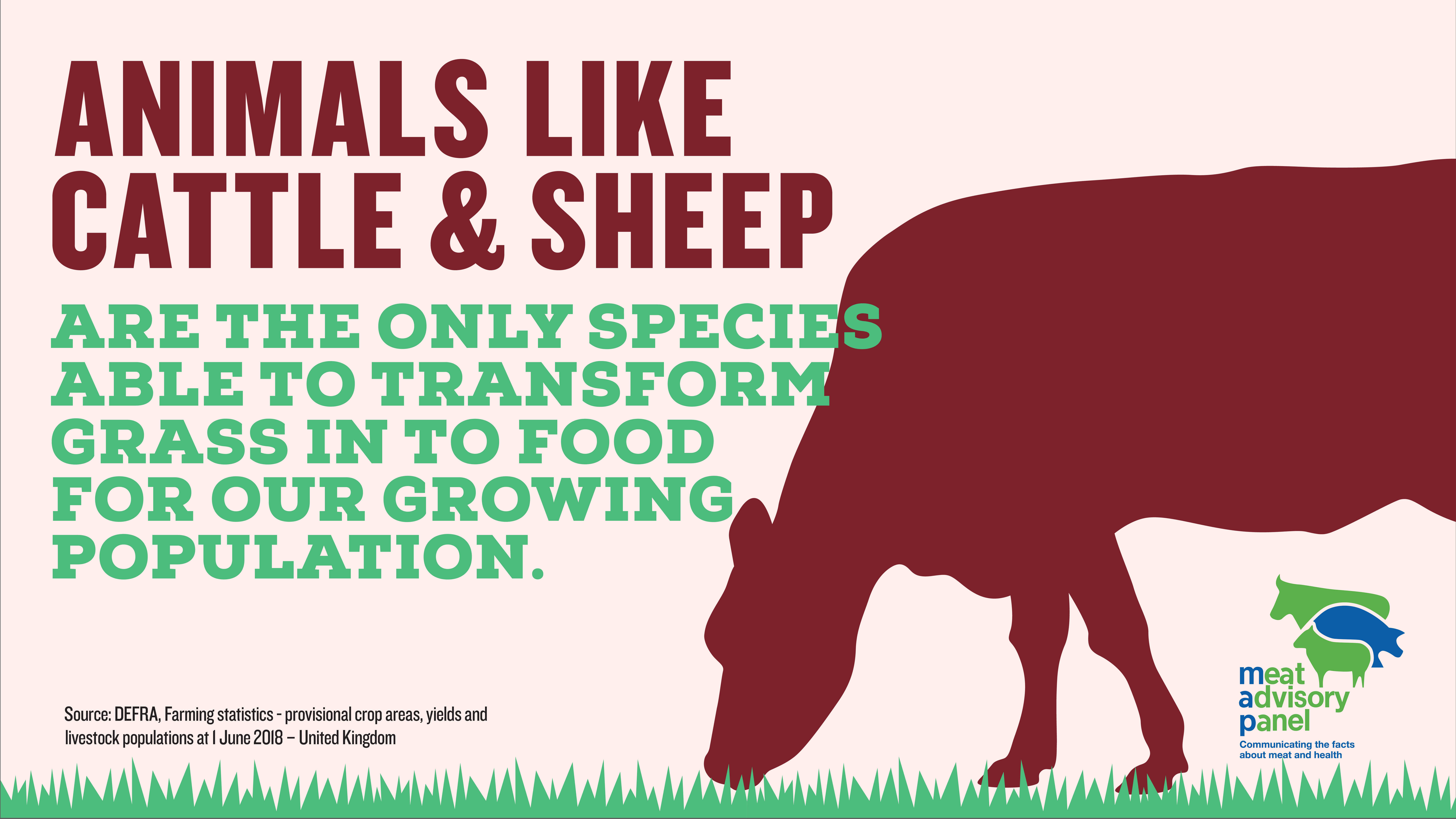 CattleSheep_transform_grassland