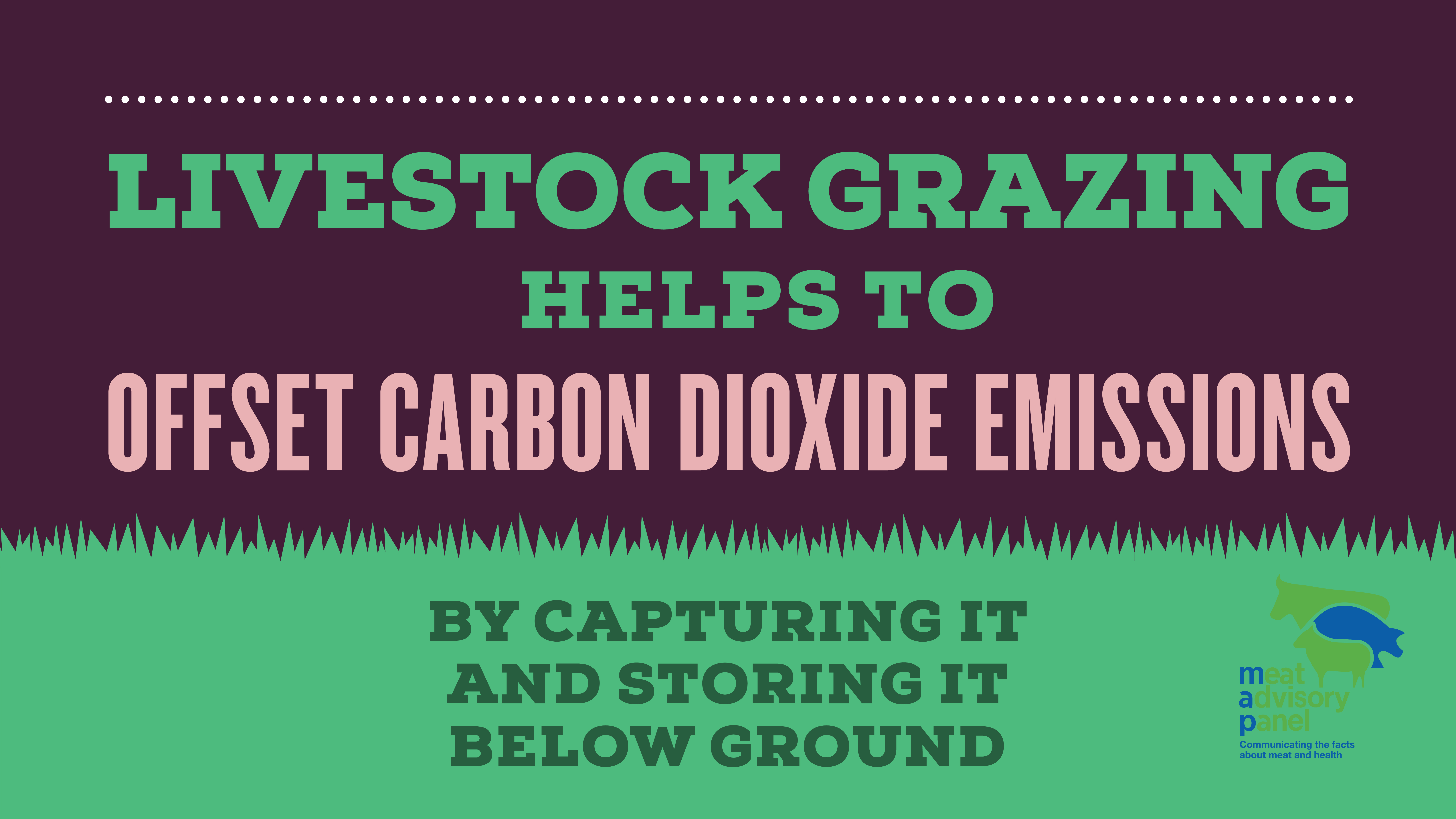 Livestock_grazing_offset_co2_V1