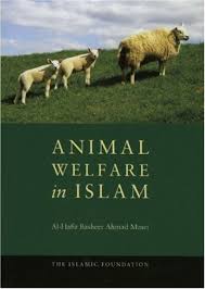 Animal-Welfare-in-Islam