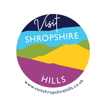 VSH-url-website-logo