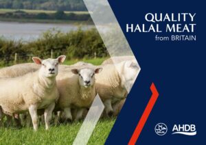 British Halal English