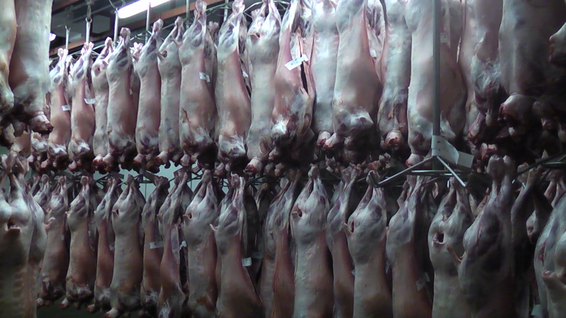 M1080009 - Landscape