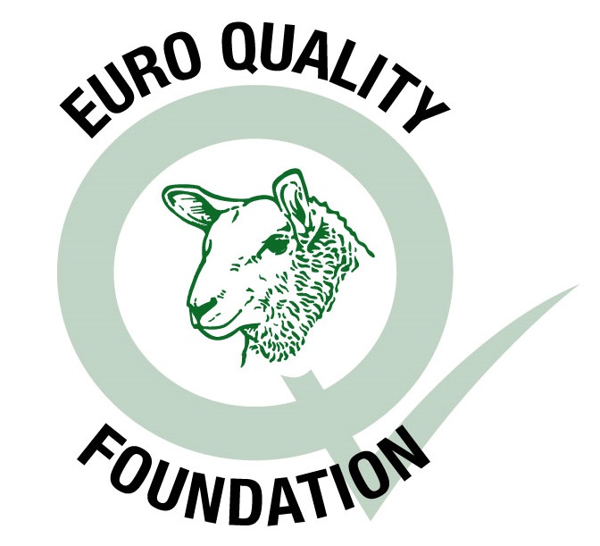 EQF Euro Quality Foundation logo