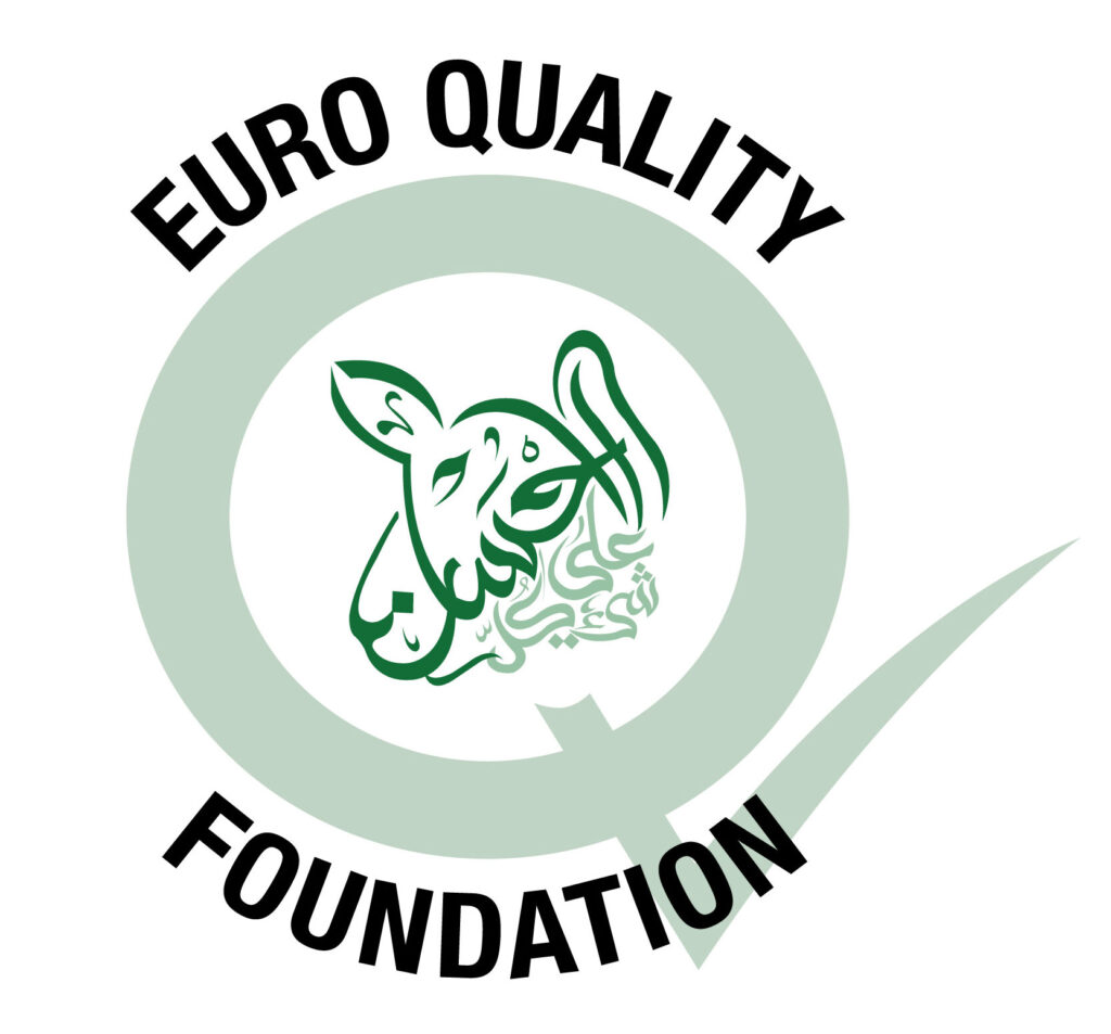EQF logo Euro Quality Foundation